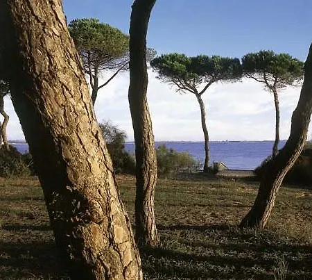 Dunas Puerto Hotel 3*